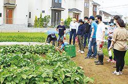 昭島地区の組合員が企業の農業体験に協力
